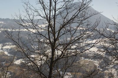 Bare tree against sky during winter