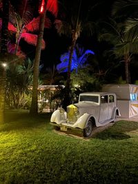 Car on lawn at night