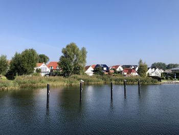 Houses and trees by building against clear blue sky