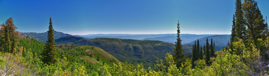 Panoramic view of trees and mountains against clear sky