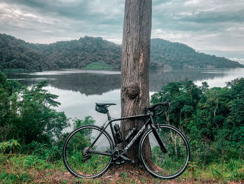 Bicycle by tree by lake against sky