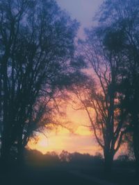 Silhouette trees on field against sky at sunset