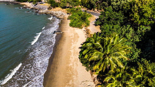 High angle view of trees at beach