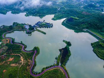 Aerial view of sea and trees against sky