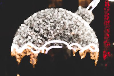 Close-up of christmas tree during winter