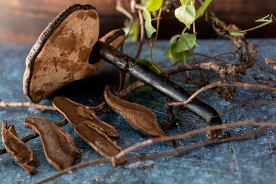 Close-up of dry leaves on wood