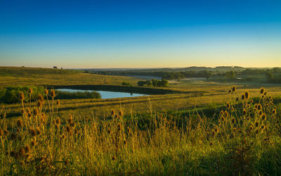 Scenic view of calm lake against clear sky