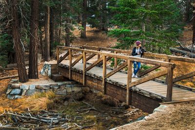 Man standing on footbridge in forest