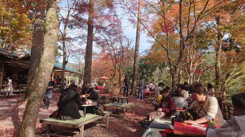 People sitting on table against trees during autumn