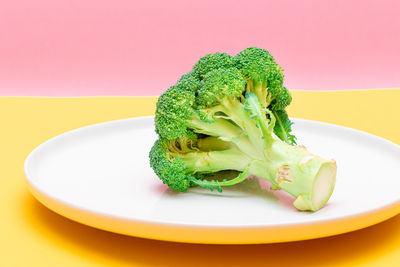 Close-up of broccoli in plate on pink background