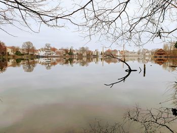 Reflection of trees in lake against sky