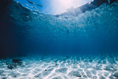 Low section of man swimming in sea