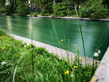 Scenic view of lake