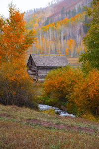 Scenic view of field during autumn