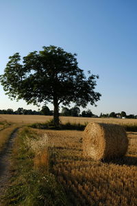 Hay bales on field against sky