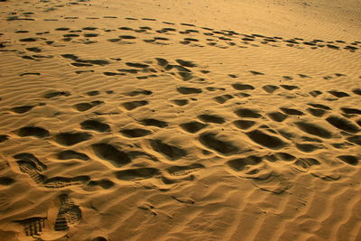 High angle view of footprints on sand at beach