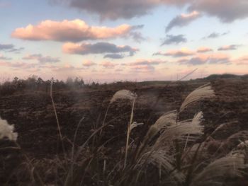 Scenic view of field against sky during sunset