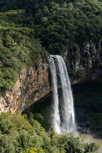 Scenic view of waterfall in forest