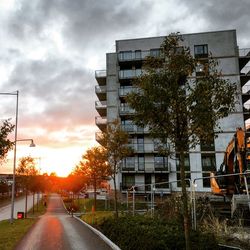 Trees by city against sky