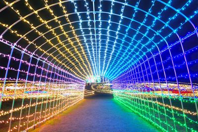 Illuminated street lights at night