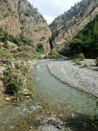 Scenic view of river amidst trees against sky