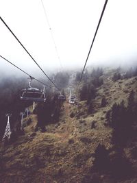 View of trees in foggy weather