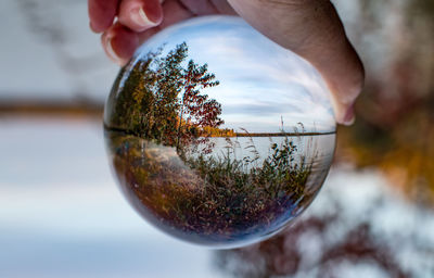 Close-up of human hand against trees