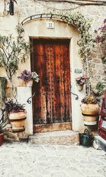 Potted plants against door