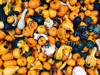 Full frame shot of pumpkins