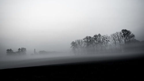 Trees on field against sky during foggy weather