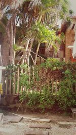 Built structure with trees in background