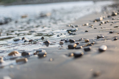 Surface level of water drops on beach