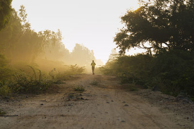Man walking on dirt road amidst trees against sky