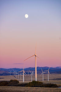 Wind turbines in a field with clear sky with the moon