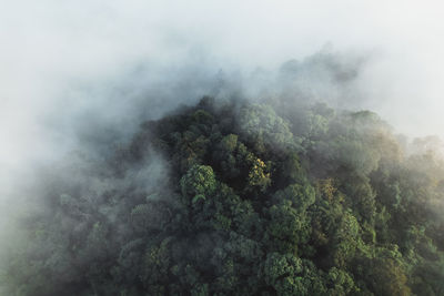 Scenic view of fog