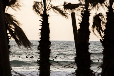Silhouette palm trees on beach against sky during sunset