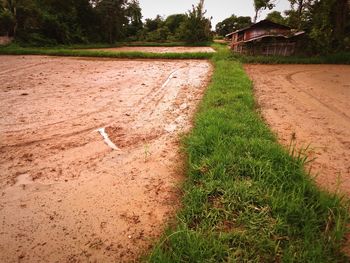 Scenic view of field