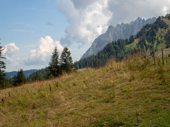 Scenic view of landscape against sky