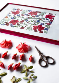 Azalea flowers and buds prepared for the pressed against the background of a botanical picture,