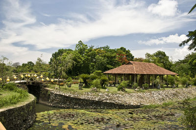 Trees against cloudy sky