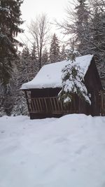 Snow covered trees and houses on field during winter