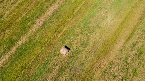 High angle view of hay bale on green landscape