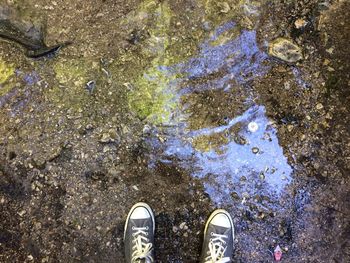 Low section of woman standing on ground