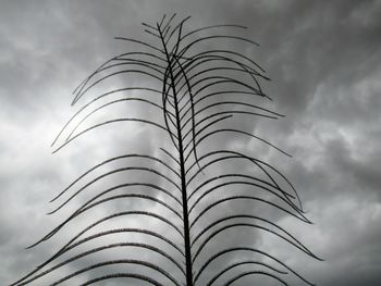 Low angle view of plants against sky