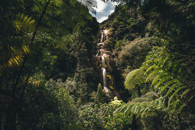 The beautiful kitekite waterfalls found near auckland, new zealand in the middle of the jungle