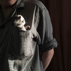 Midsection of man with kitten in shirt pocket