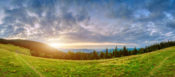 Scenic view of field against sky