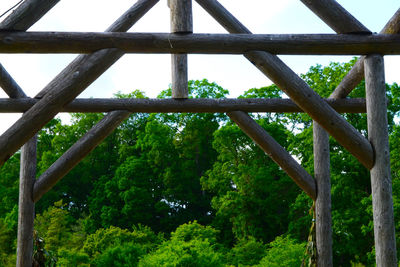 Low angle view of tree against sky