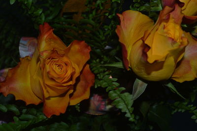 Close-up of rose bouquet