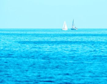 Sailboat sailing in sea against clear sky